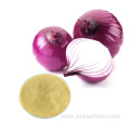 High quality dry golden onion powder